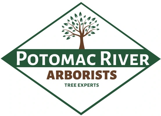 Potomac River Arborists